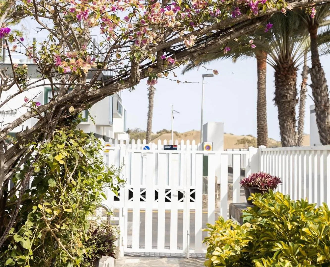 Apartamentos Maspalomas Oasis San Bartolomé 0*,